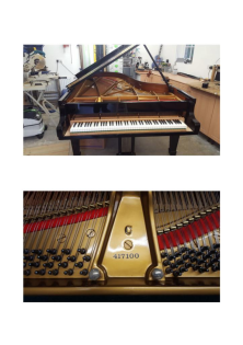 Steinway C - Flügel weit unter Wert abzugeben