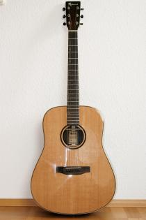 Wie neu! Westerngitarre Redwood D-10