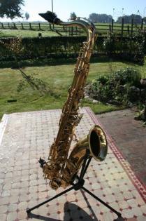 Selmer Tenor Saxophon