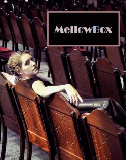 Mellowbox sucht Drummer / Percussionisten !