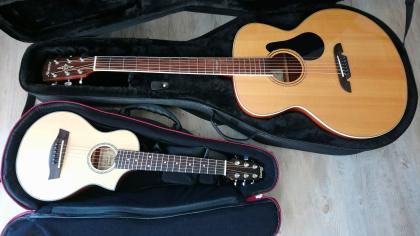 Alvarez ABT60e plus Ibanez EWP15LTD (beide inkl. Softcase)