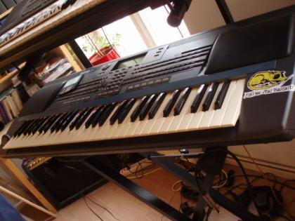 Farfisa F5 Synthesizer, Keyboard, Workstation mit Full MIDI