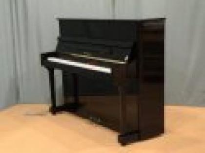 Thomas Stelzer 117 PE G Piano