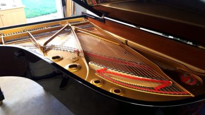 Steinway C - Flügel weit unter Wert abzugeben