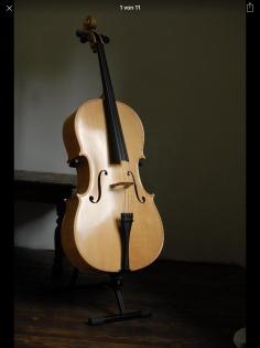 Besonderes Cello von Alin Stoica