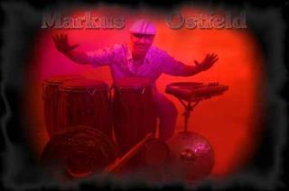 Prof. Drums und Percussion Unterricht