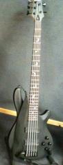 Schecter Damien 5