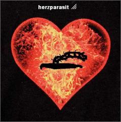 Herzparasit sucht dringend Bassist und Drummer!!!