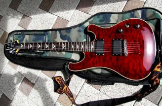 Schecter Diamond