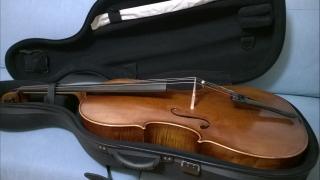 Cello von Thomas Stöhr