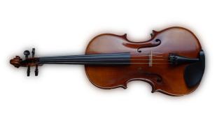 Schöne Viola, 42cm