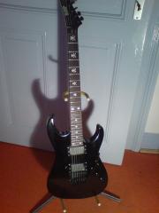 ESP Custom