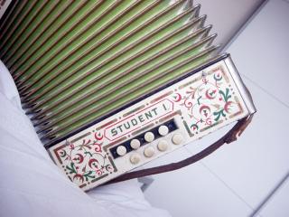 Hohner Student I